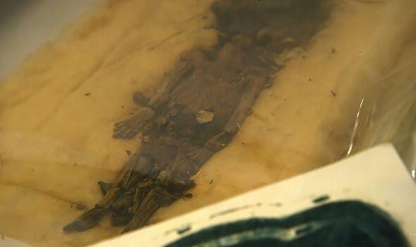 Vua Tut đã được chôn cất cùng hai thai nhi - là 2 con gái đã chết khi chưa chào đời của ông.(Hình ảnh: Kênh Smithsonian) Vua Tut đã được chôn cất cùng hai thai nhi - là 2 con gái đã chết khi chưa chào đời của ông.(Hình ảnh: Kênh Smithsonian)