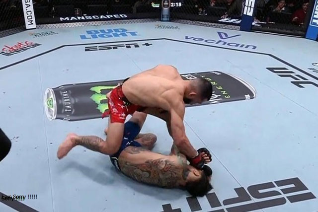 Dan Ige đấm gục đối thủ. Dan Ige đấm gục đối thủ.