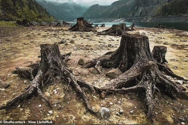 Con người được cho là đang đối mặt với sự kiện tuyệt chủng lần thứ 6. Con người được cho là đang đối mặt với sự kiện tuyệt chủng lần thứ 6.