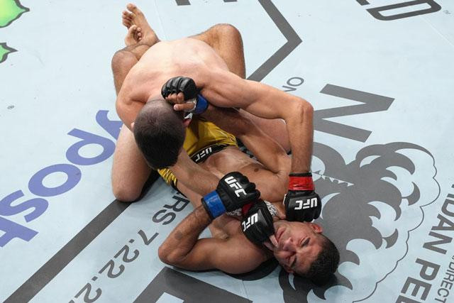 Bill Algeo đấm gục Herbert Burns.