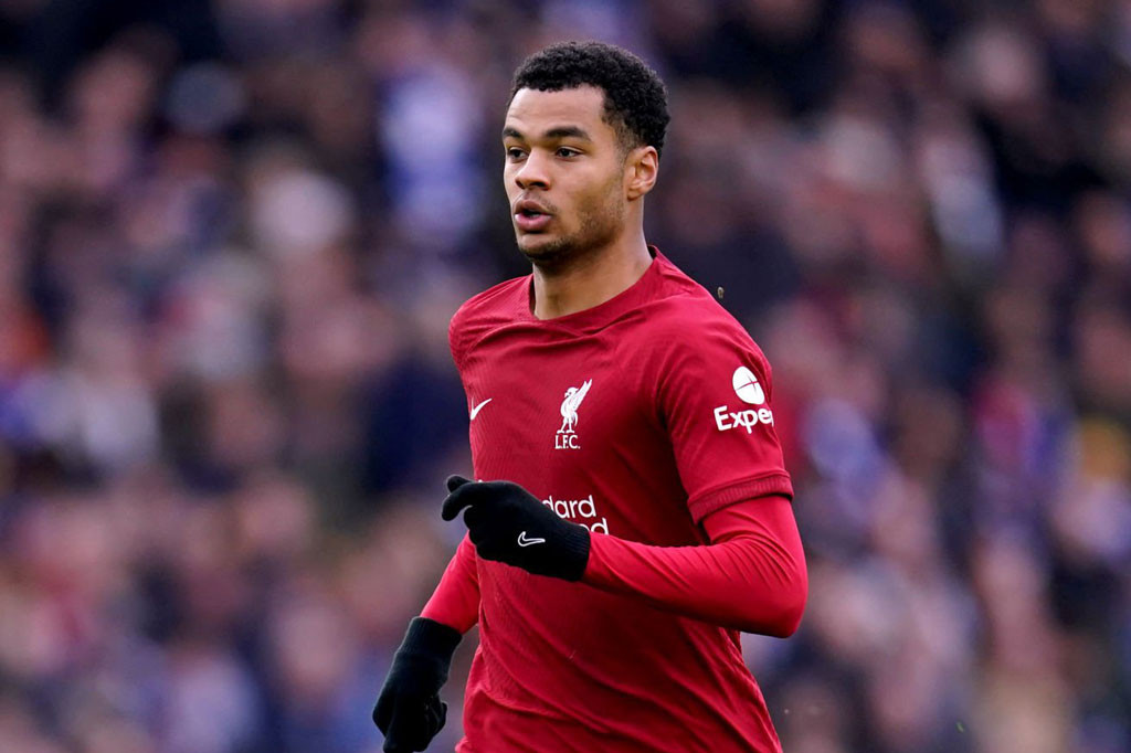 Tiền đạo: Cody Gakpo (Liverpool). Tiền đạo: Cody Gakpo (Liverpool).