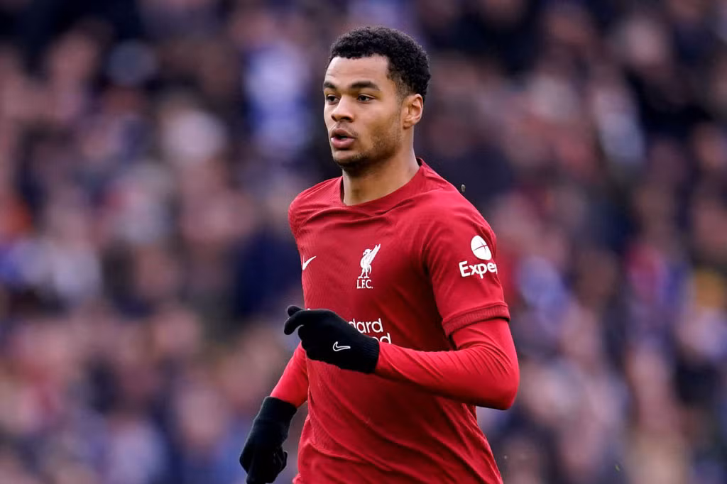 Tiền đạo: Cody Gakpo (Liverpool).