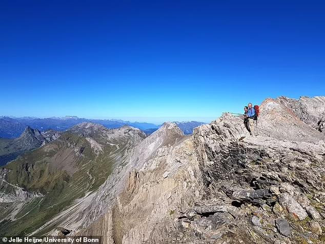 Hóa thạch của quái vật biển cổ đại dài 20m chết trên núi cao 2.700m khiến nhóm khảo cổ choáng váng. Ảnh Daily Mail