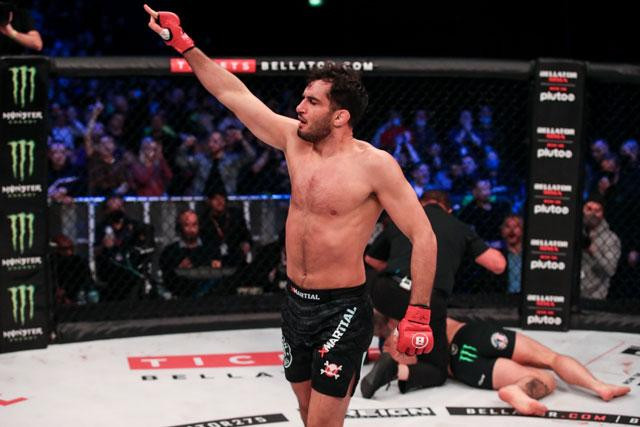 Gegard Mousasi ăn mừng chiến thắng.