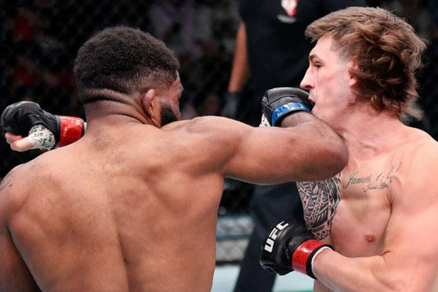 Chris Curtis ra đòn chính xác về phía Brendan Allen.