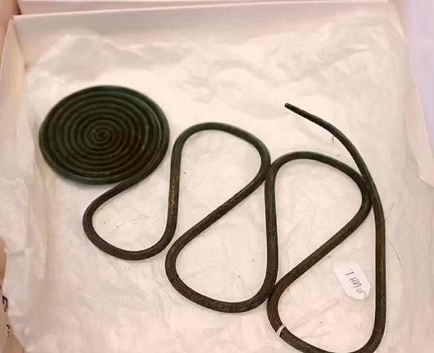 Một trong những cổ vật vô giá thuộc về thời kỳ đồ đồng vừa được phát hiện.