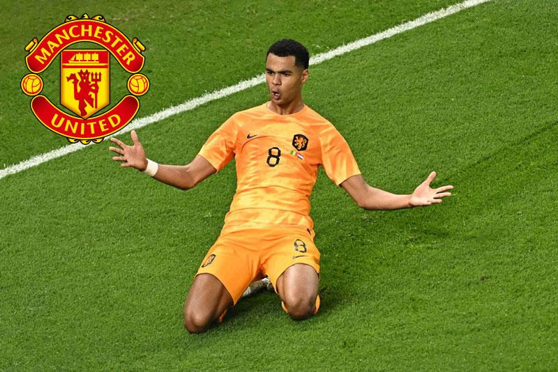 Gakpo sẽ đầu quân cho MU sau World Cup 2022? Ảnh: Getty.