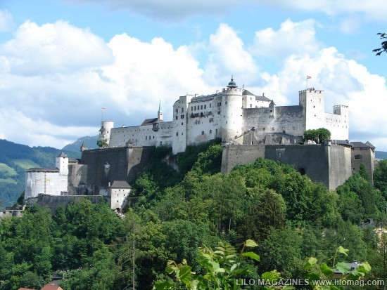 Lâu đài Malbork nổi tiếng nhất Ba Lan rộng 143.591 m2, được xây hoàn toàn bằng gạch theo phong cách kiến trúc Gôtích lớn nhất thế giới. Mehrangarh Fort rộng 81.227 m2, một pháo đài hàng nghìn năm tuổi tại Ấn Độ. Bao quanh là bức tường kiên cố có chiều dày 6m, bên trong là cung điện nguy nga với kiến trúc tinh xảo. Tại đây, bạn có thể thấy nhiều hiện vật lịch sử của những vị vua. Prague Castle rộng 66.761 m2 là lâu đài thời trung cổ lớn nhất ở châu Âu và là nơi ngự trị cổ xưa của các vị vua Séc trong suốt các thời đại. Đây là quần thể các tòa nhà, cung điện, thánh đường lộng lẫy và được xem là biểu tượng của cộng hòa Séc. Windsor Castle rộng 54.835 m2, là lâu đài lớn nhất, lâu đời nhất thế giới và là niềm tự hào lịch sử nước Anh. Lâu đài Hohensalzburg rộng 54523 m2 nằm tại thành phố Salzburg, Áo. Spis Castle rông 49485 m2 là một trong những lâu đài thời Trung cổ lớn nhất ở trung tâm châu Âu, tại miền đông Slovak Buda Castle rộng 44.674 m2 là lâu đài lịch sử của các vị vua Hungary tại Budapest. Himeji Castle rộng 41.468 m2 nằm ở trung tâm của thành phố Himeji, Nhật Bản. Thành cổ Aleppo rộng 39.804 m2, được coi là niềm tự hào của sa mạc, thành cổ Aleppo là một trong những lâu đài nổi tiếng nhất trong thế giới Ả Rập.