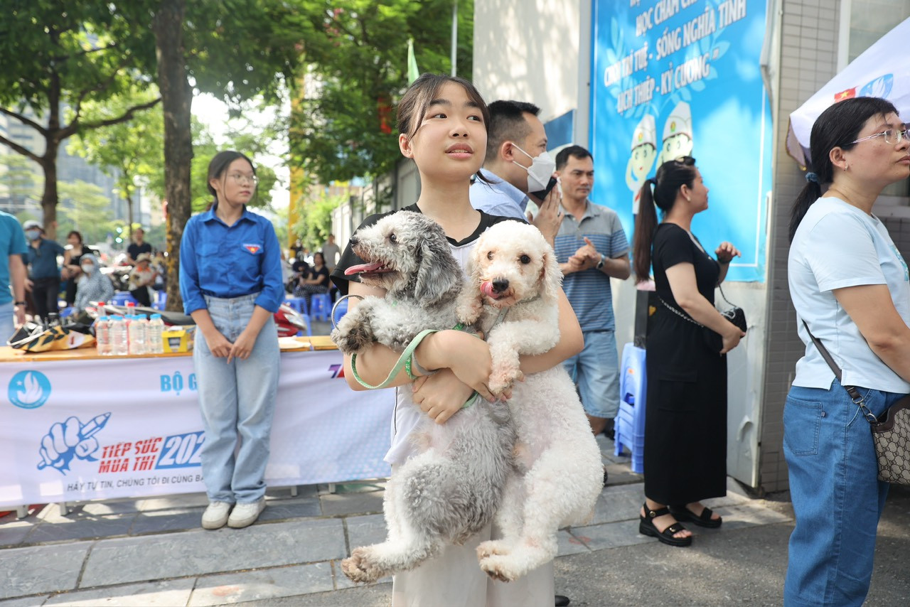 Em gái mang theo hai chú chó chờ đón anh trai thi Ngoại ngữ. Ảnh: Trọng Tài Em gái mang theo hai chú chó chờ đón anh trai thi Ngoại ngữ. Ảnh: Trọng Tài