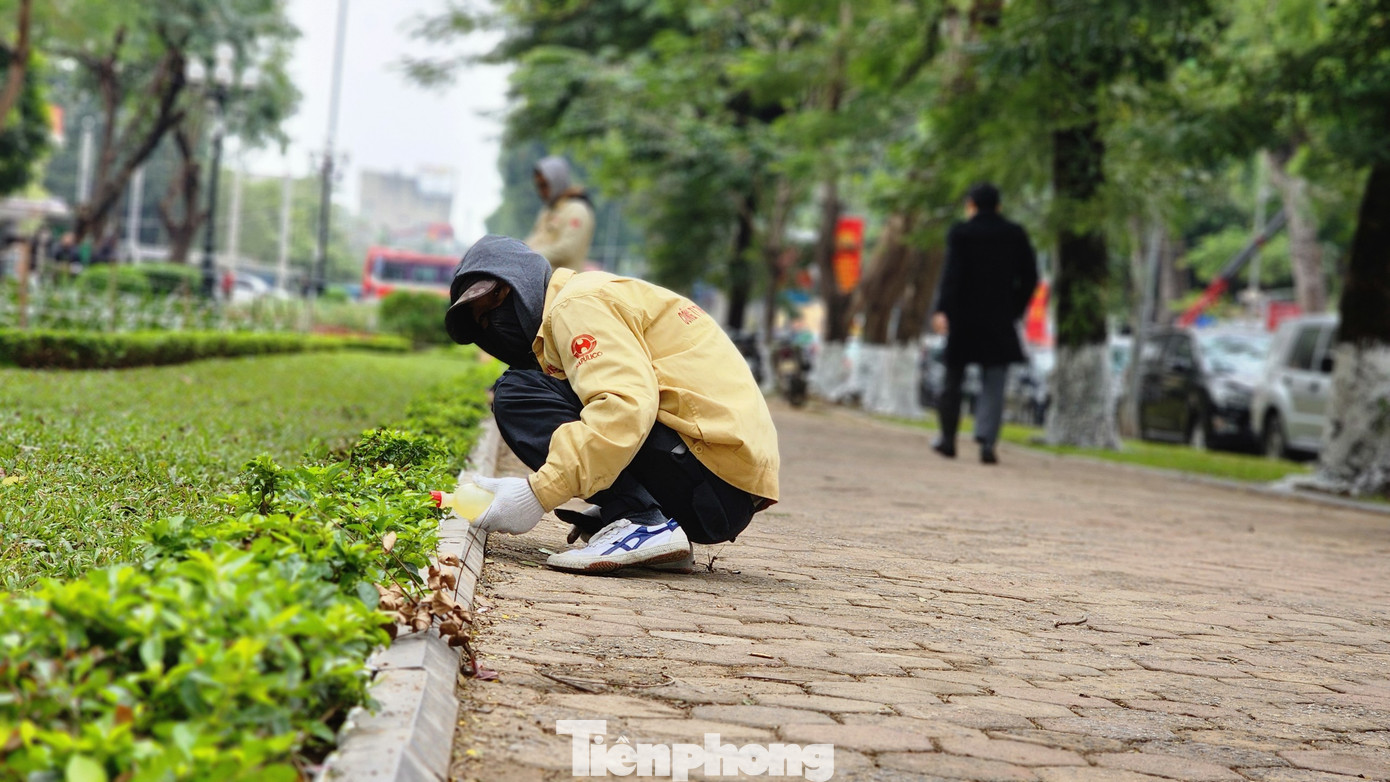 Kiểm tra đảm bảo khuôn viên chiếu sáng rực rỡ cho nhân dân đi dạo.