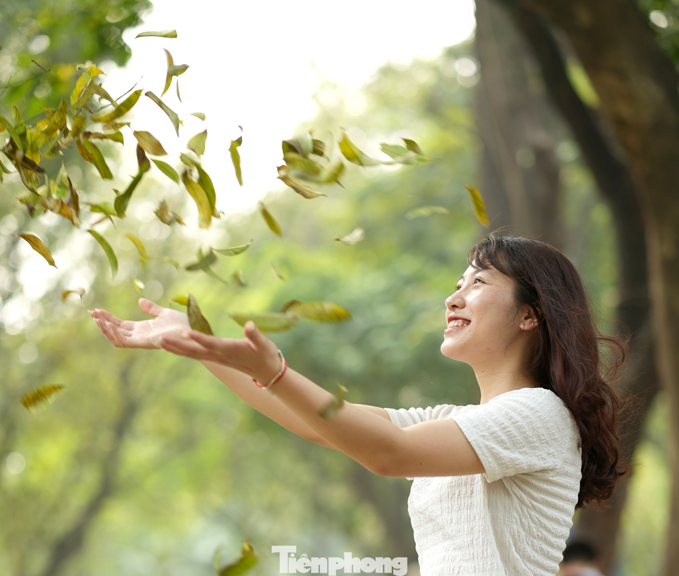 Nhiều bạn trẻ tìm đến nơi đây đơn thuần chỉ để tận hưởng chút nắng, gió và lá vàng rơi của thời khắc giao mùa.