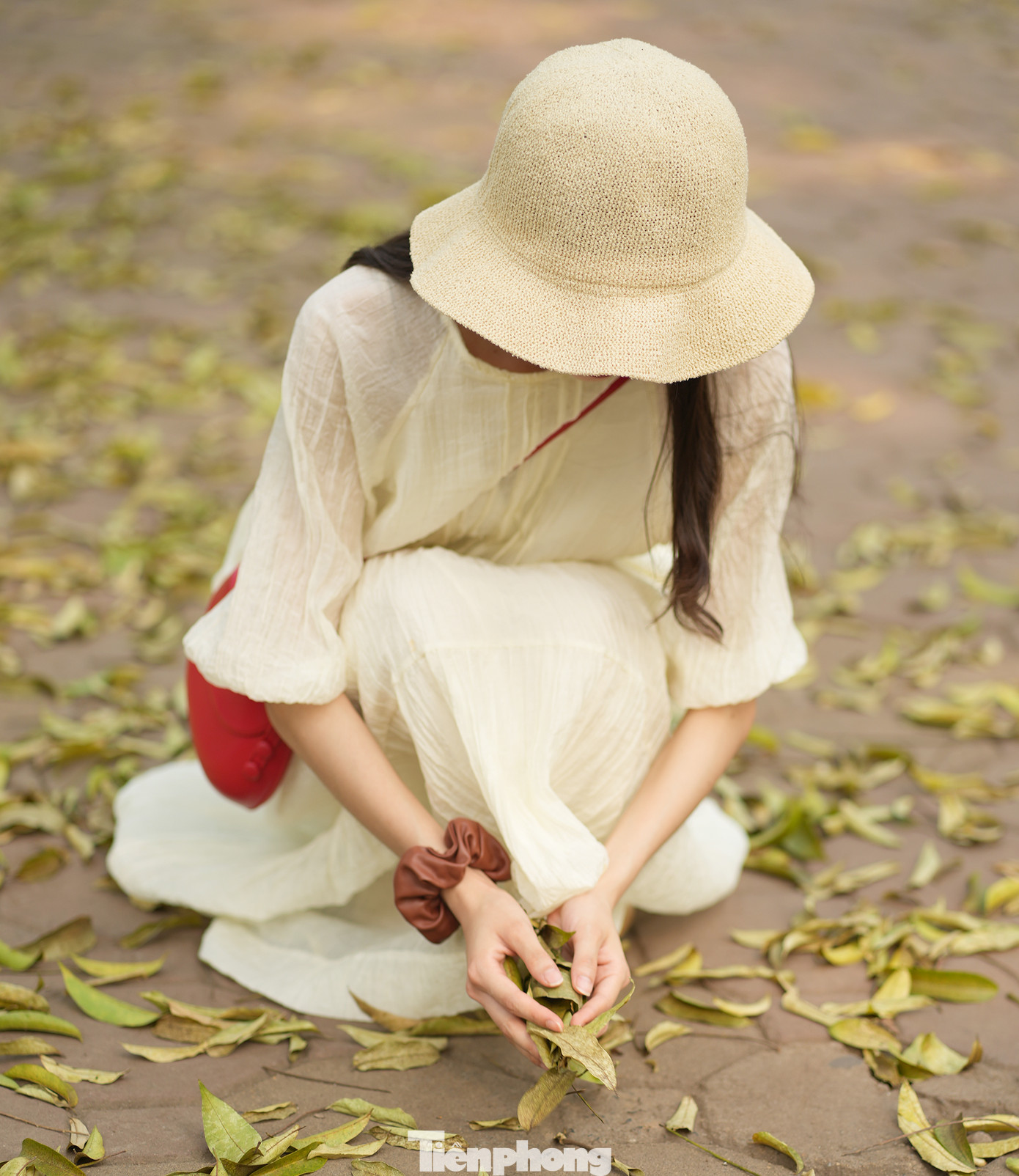 Chia sẻ với báo Tiền Phong, bạn Vũ Hồng Ngân sinh viên năm 3 Đại học Văn hóa Hà Nội cho biết: "Mình rất thích cảnh sắc này, có chút thơ mộng, gần thiên nhiên và có gì đó hoài niệm. Đồng thời không gian này cho những người đang có áp lực như mình cảm giác tâm hồn được chữa lành rất hiệu quả".