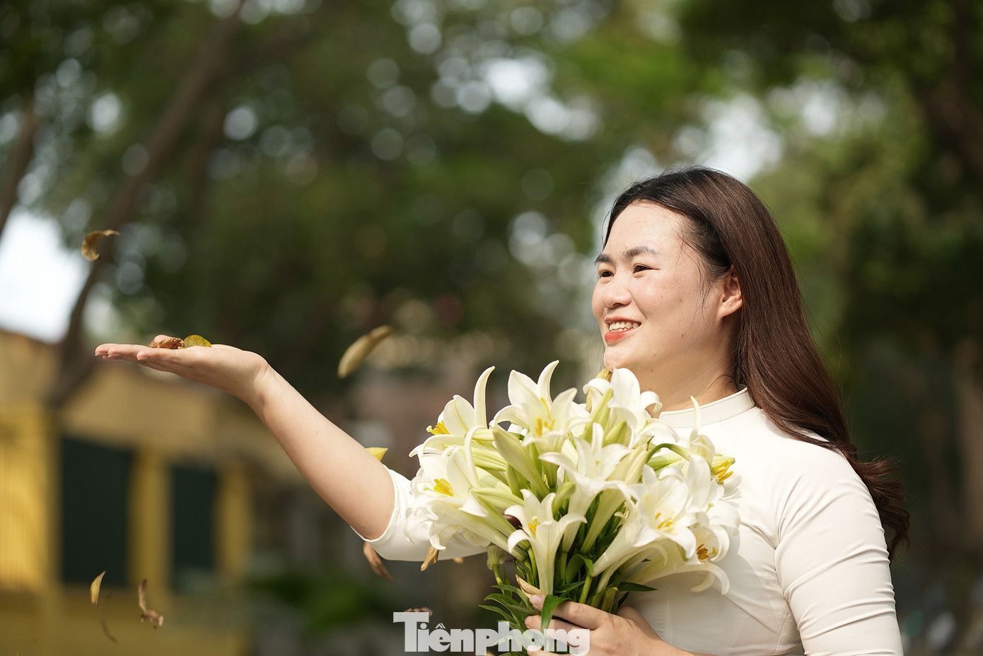 Khoảnh khắc đón đợt lá rụng theo cơn gió đầu hè.