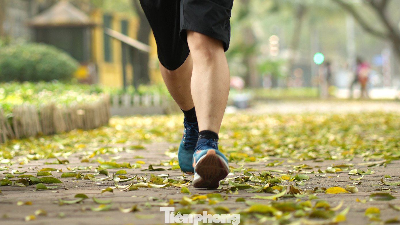 Tiếng lạo xạo bước chân trên lớp lá vàng tạo nên âm thanh cùng nhiều xúc cảm khác lạ.