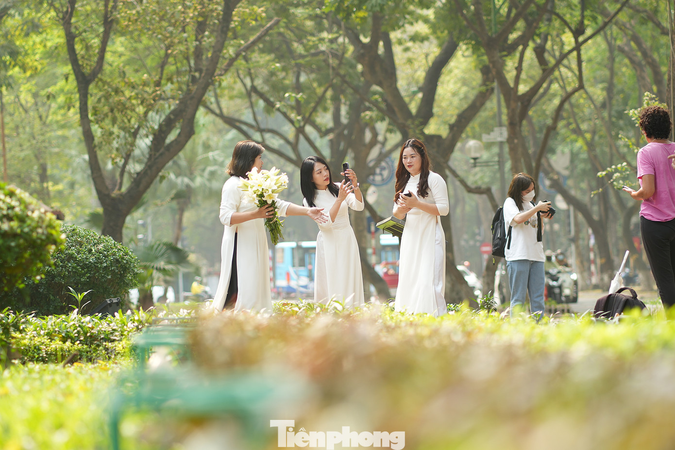 Người dân Hà Nội nô nức check-in để lưu giữ ảnh đẹp cho riêng mình.