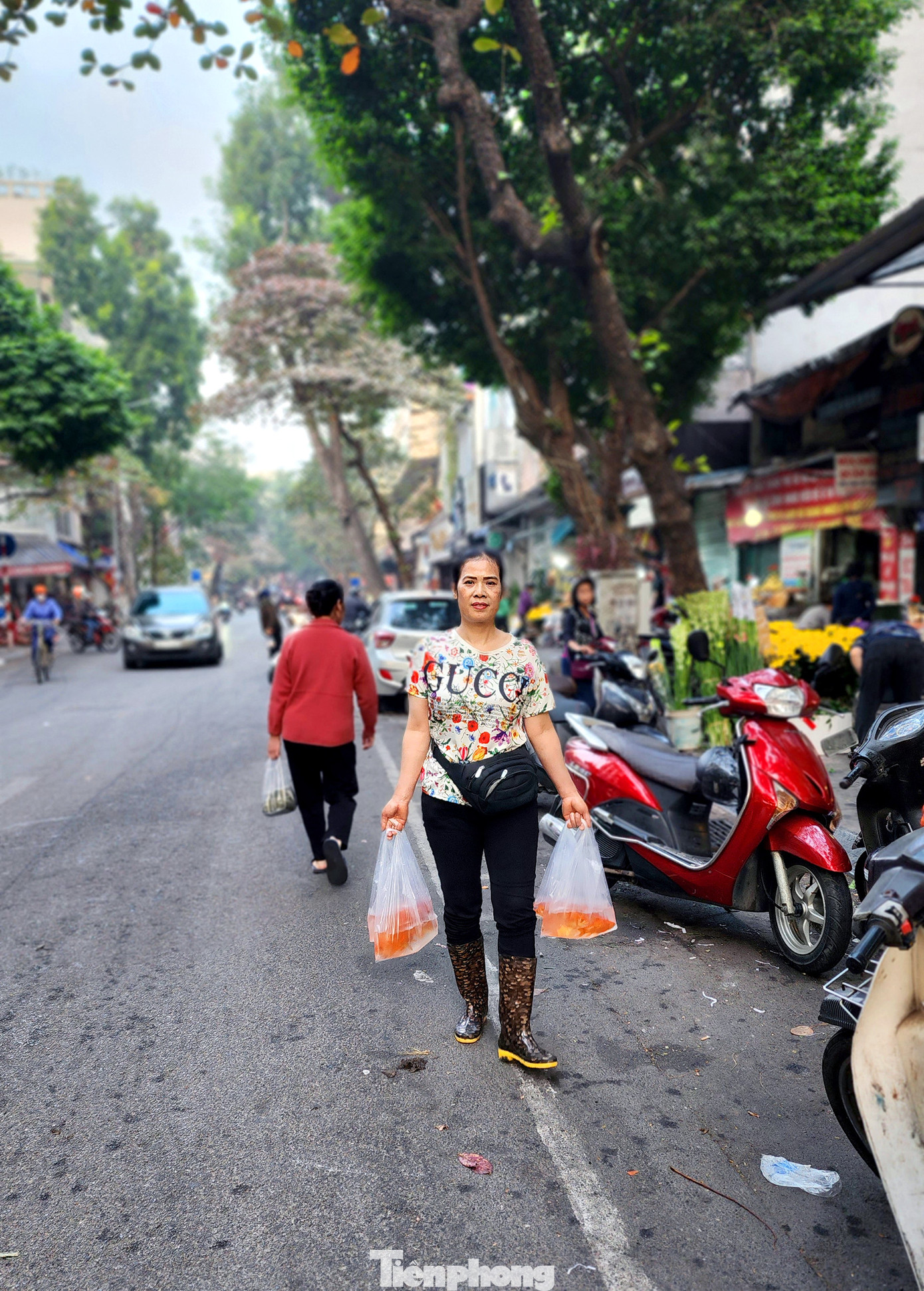 Cá chép đỏ được đóng túi sẵn theo bộ. Giá cơ bản rẻ hơn trung bình của các năm trước. Tùy loại to nhỏ có thể dao động từ 80 nghìn đồng tới 120 nghìn đồng/ bộ (3 con).