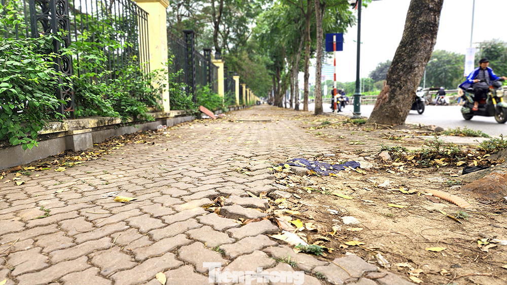 Vỉa hè nhiều đoạn xuống cấp nghiêm trọng, gạch lát có nơi tróc mất nửa diện tích bề mặt.