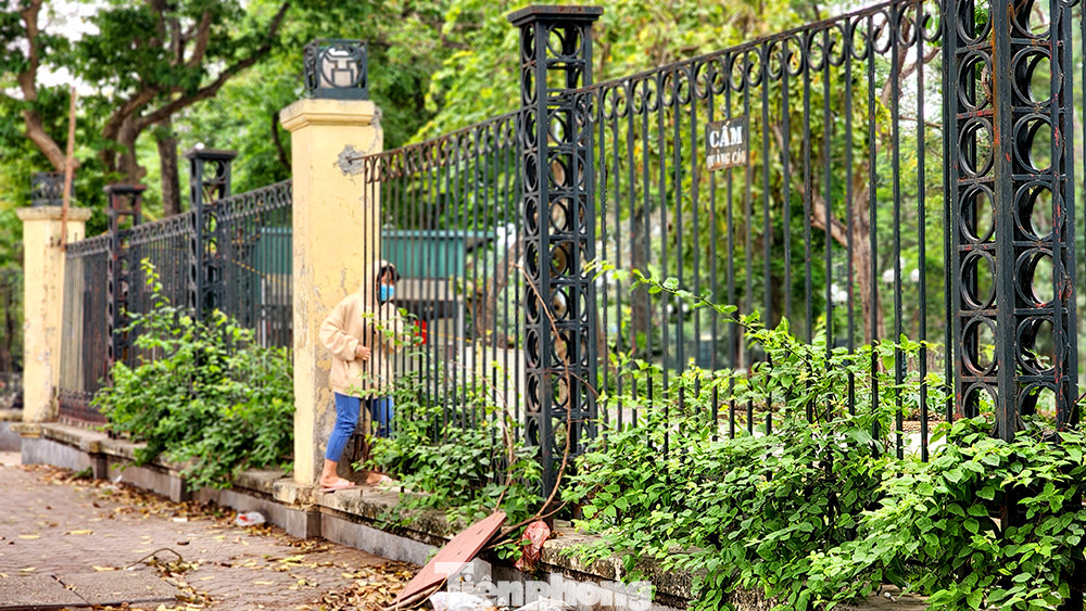 Chị Minh Thảo - cư dân phía bên kia mặt đường Giải Phóng chia sẻ: 'Nhà tôi đi qua đường là tới công viên, nhưng nếu đi đến cổng để vào trong thì sẽ xa hơn, vả lại nếu như đi trên vỉa hè thì bẩn và khó đi lắm. Nên dẫu có biết 'chui rào' thì hình ảnh không đẹp đẽ gì nhưng mà vẫn chui qua mỗi khi cần vào công viên. Vừa 'tiện' vì gần lại vừa tránh phải đi bộ trên vỉa hè".