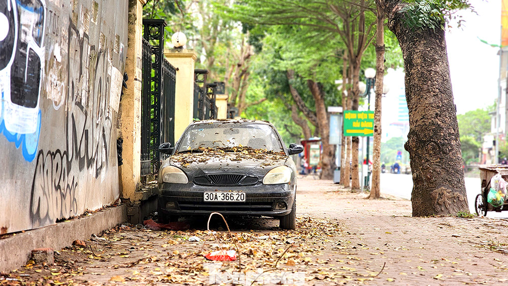 Thậm chí giữa cao điểm giành lại vỉa hè, nơi đây có những chiếc xe thản nhiên 'phủ lá' đỗ trên hè.