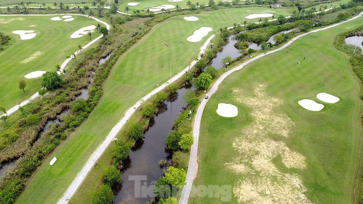 Các khu vực tee box, fairway của sân golf được phủ xanh bởi nền cỏ Platinum Paspalum. Khu vực green được phủ cỏ Bermuda TifEagle nhằm đảm bảo chất lượng sân golf luôn trong điều kiện lý tưởng quanh năm