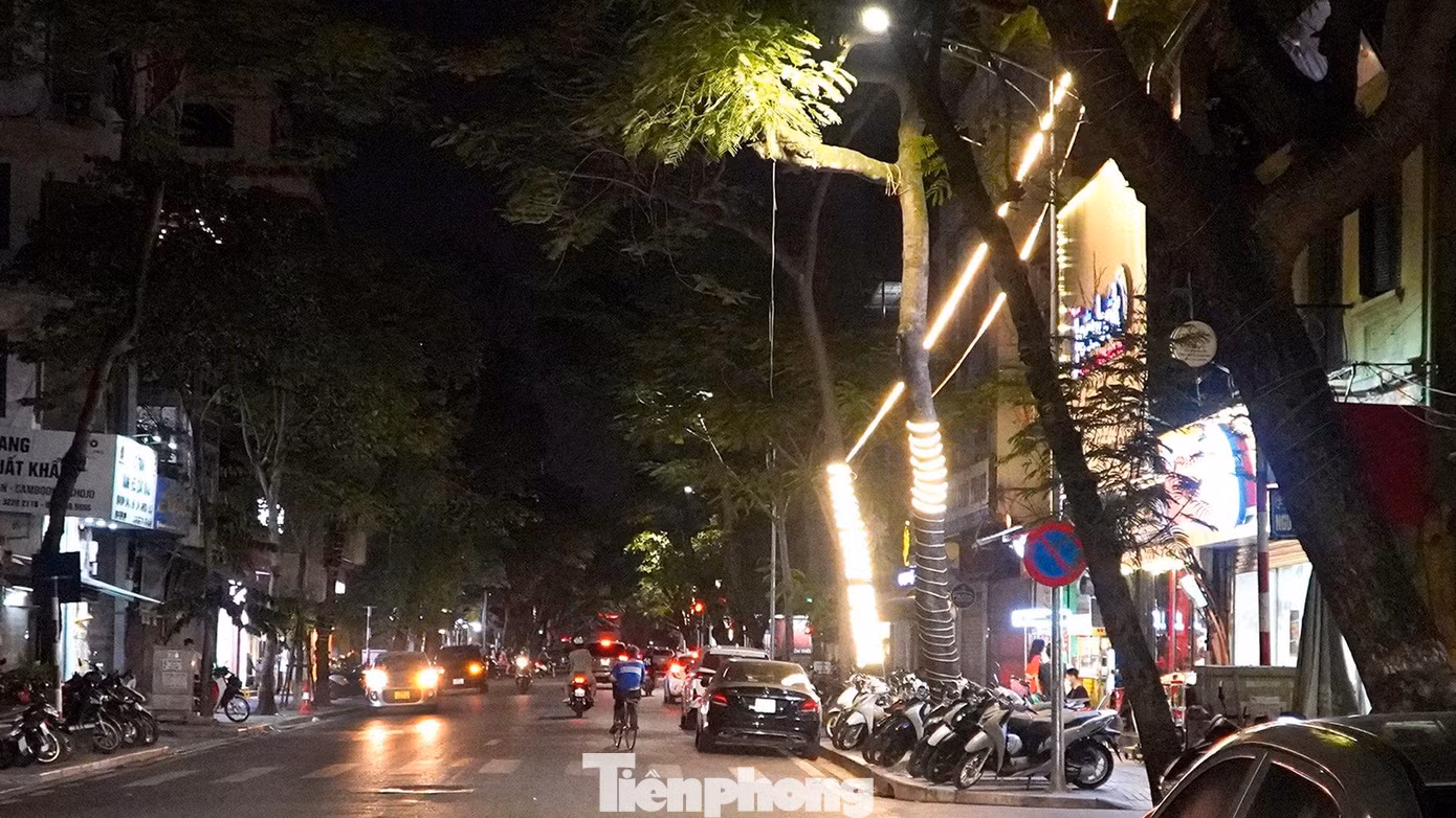 Cụm cửa hàng này trên phố Hàm Long dù ngay sát cột đèn đường vẫn rất 'cẩn thận' trang bị hệ thống đèn hắt chói mắt và dây led cuốn quanh thân cây.