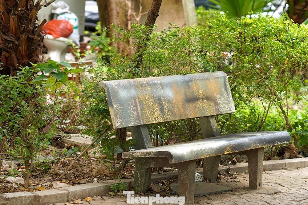 Trong khuôn viên, các ghế đá sau thời gian dài không được bảo dưỡng hiện vô cùng bẩn thỉu và xấu xí.