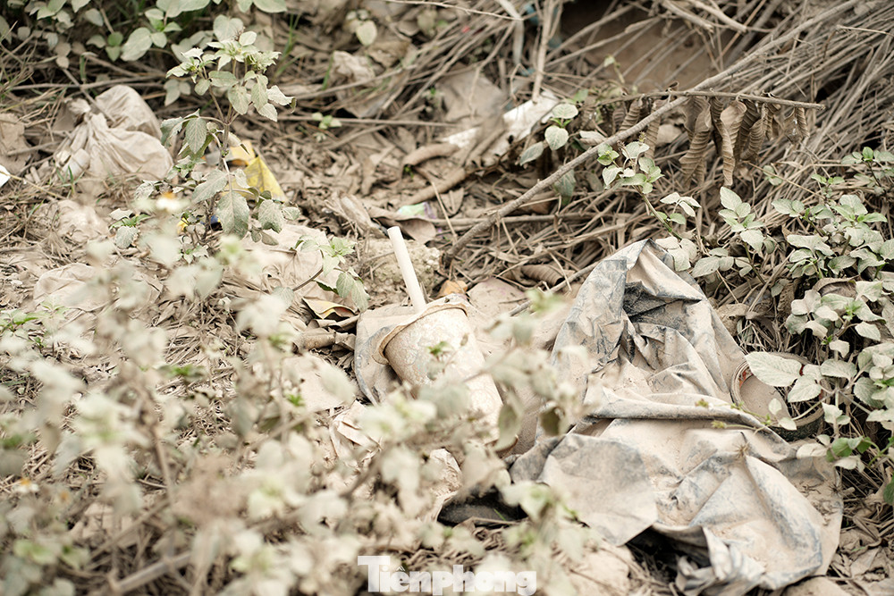 Cỏ cây 'bất đắc dĩ' phải hứng ô nhiễm, khoác trên mình một lớp áo bụi dầy. Cỏ cây 'bất đắc dĩ' phải hứng ô nhiễm, khoác trên mình một lớp áo bụi dầy.