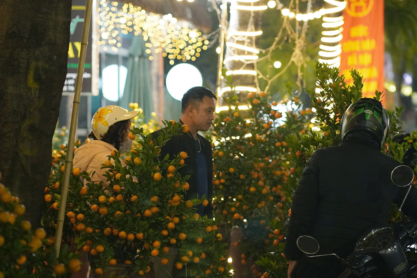 Việc đi chọn mua hoa đào, cây quất ngày Tết là một việc có thể diễn ra trong nhiều ngày, thậm chí đi lại cả chục lần mới chọn được một cây ưng ý. Nên cũng có rất nhiều thời điểm khác nhau trong ngày, kể cả buổi tối cũng có thể đến chợ hoa lựa chọn.