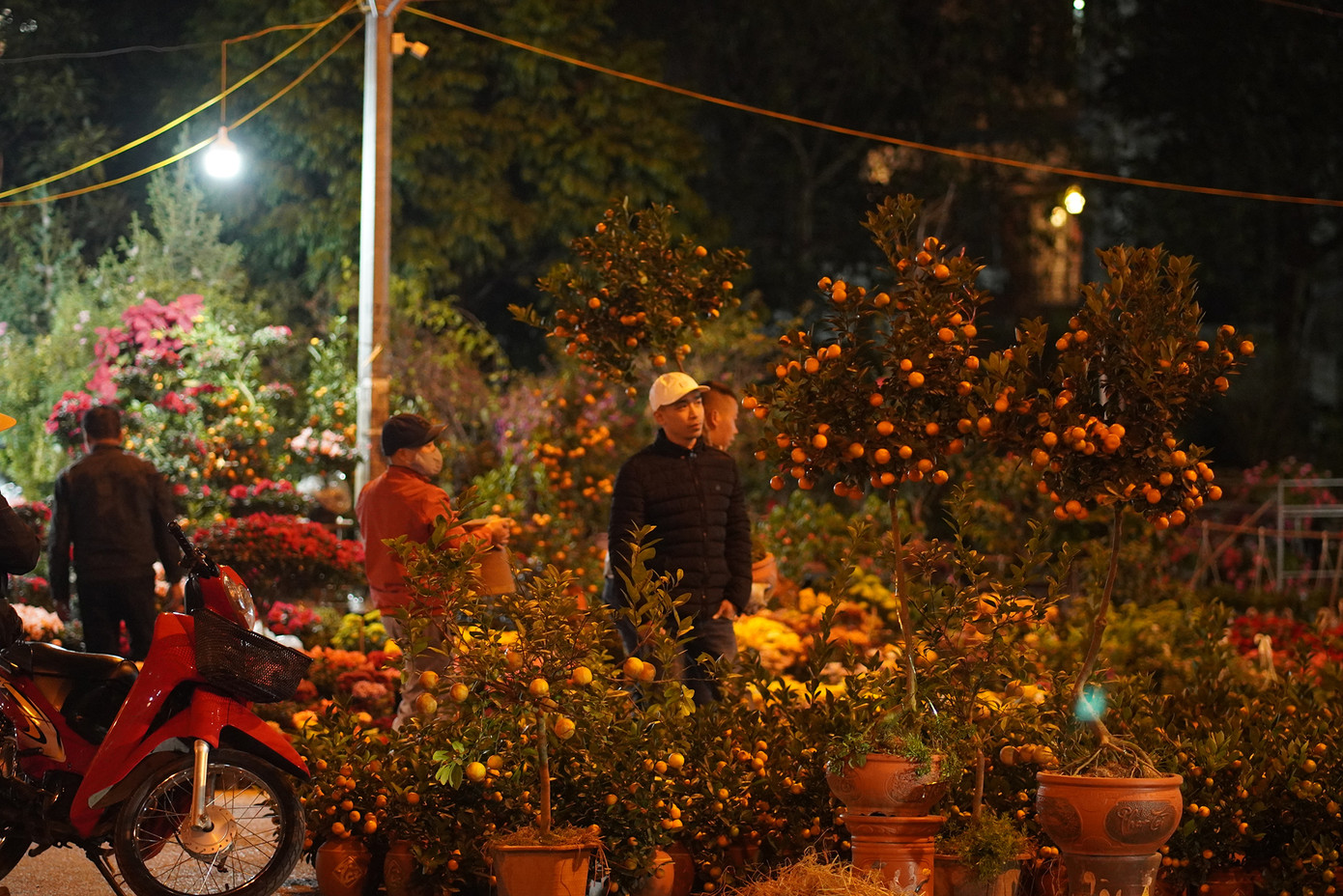 Một người dân chia sẻ: "Buổi đêm đi chợ hoa Tết là một thú vui tôi duy trì nhiều năm nay bởi ngắm hoa đêm có nhiều điểm thú vị mà ban ngày không có được. Không chỉ vậy, những khu chợ hoa nổi tiếng như ở đây ban ngày thường rất đông khách, không cho chúng ta thời gian thong dong lựa chọn. Tới đêm khuya, thậm chí nửa đêm thì lại thoải mái hơn nhiều".