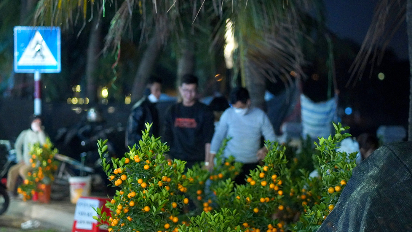 Khoảng 22h30 tối, cả đoạn đường dài vài trăm mét bên mặt Hồ Tây vẫn thu hút đông đảo người dân đi dạo ngắm hoa, cây.