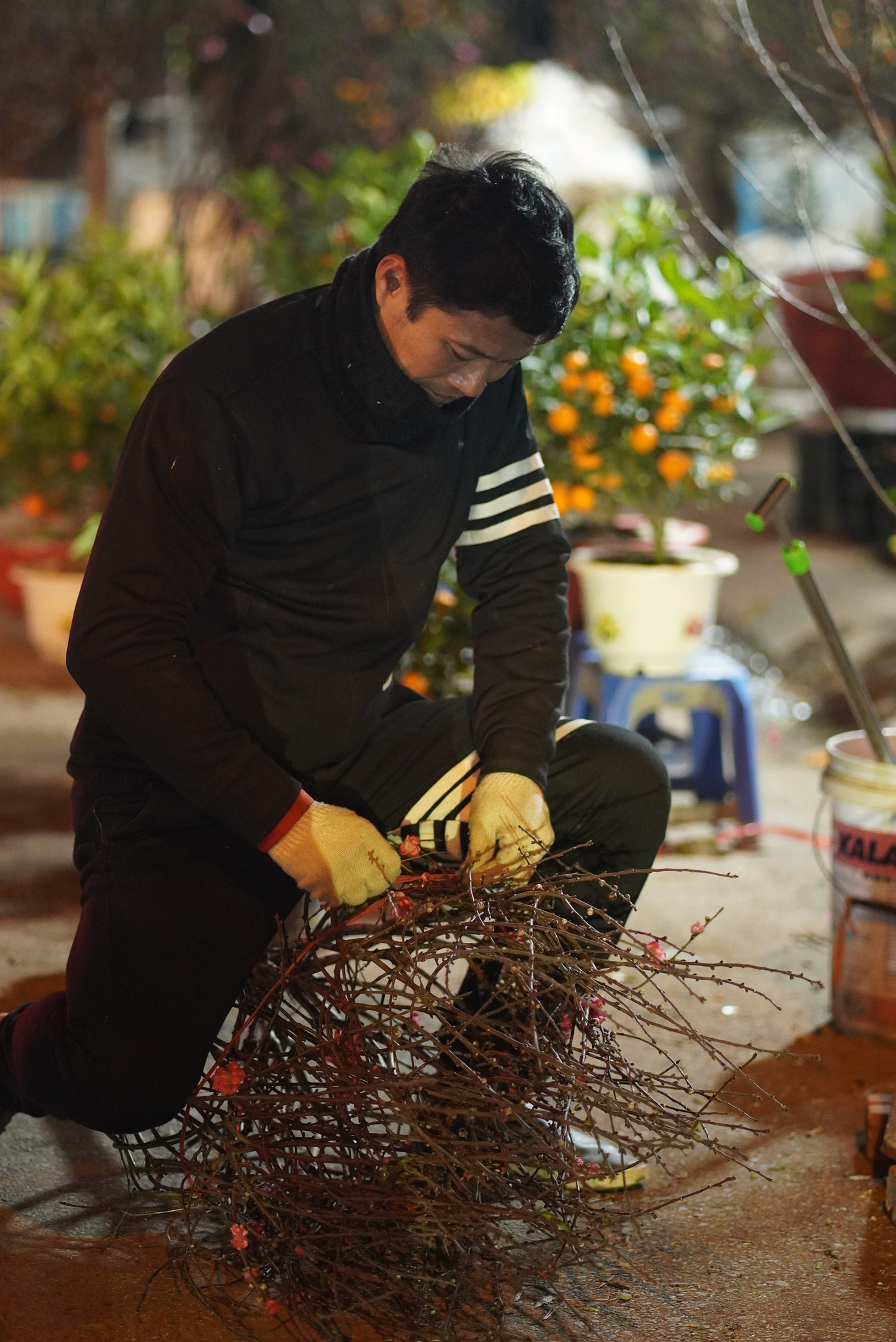 Người bán cây này chia sẻ: " Tôi nằm sương gió để trông cây chứ cũng không ngủ được đâu, mà đôi khi lạnh quá lại vùng dậy đi ra chằng buộc sắp xếp hàng cho ấm người. Có khi 2,3 giờ sáng đang chợp mắt mà có khách hỏi là tỉnh táo để bán hàng ngay".