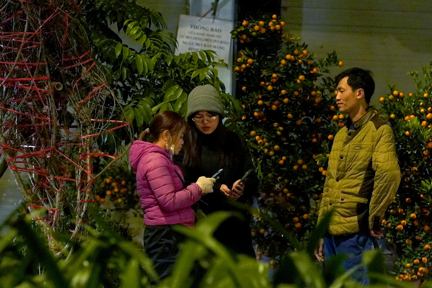 Với nhiều khách hàng đến đây thời gian về đêm bởi nguyên do đơn giản hơn nhiều, đó là ban ngày ai ai cũng đều rất bận rộn cho công việc cuối cùng của năm, chỉ còn thời điểm đêm mới "rảnh" để đi xem và chọn cây, hoa.