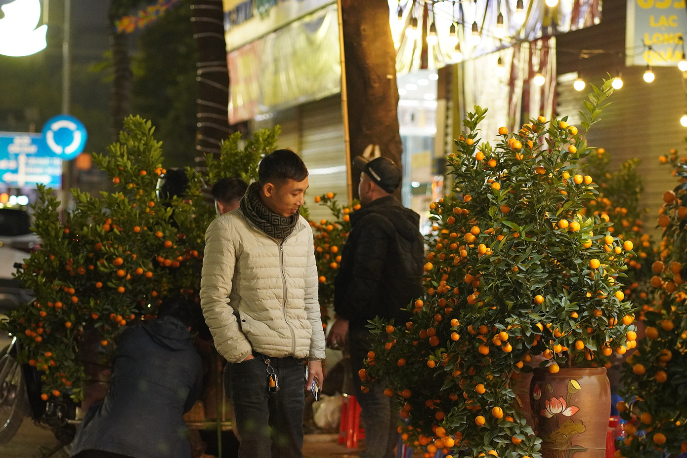 Mặt hàng bày bán về đêm có chủng loại và số lượng cũng như ban ngày, nhưng chủ yếu người dân tới đây quan tâm lựa chọn vẫn là hoa đào và quất cảnh, loại hoa mai...