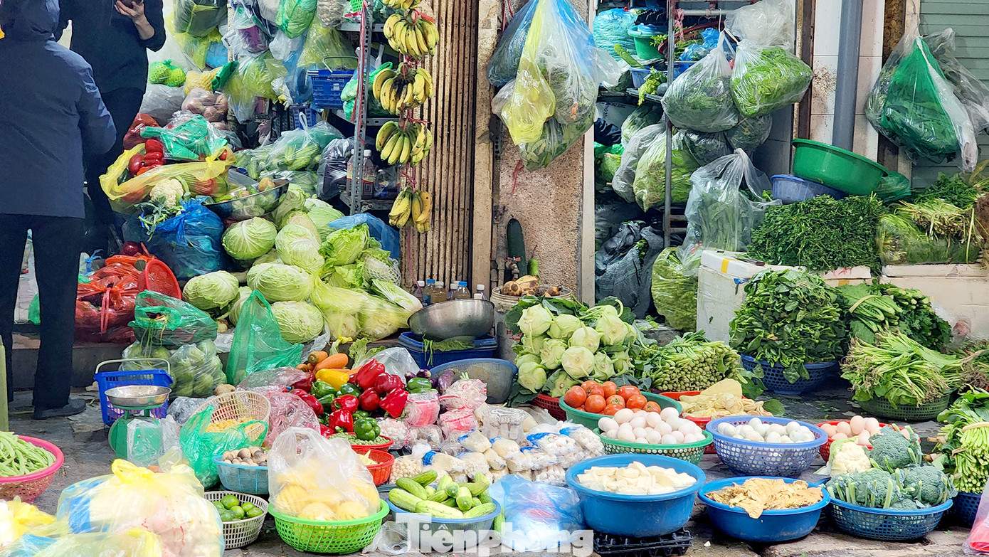 Quầy rau xanh mát mắt với đầy đủ các loại thực vật tươi mới. Giá cả từ vài nghìn đến vài chục nghìn đồng. Quầy rau xanh mát mắt với đầy đủ các loại thực vật tươi mới. Giá cả từ vài nghìn đến vài chục nghìn đồng.
