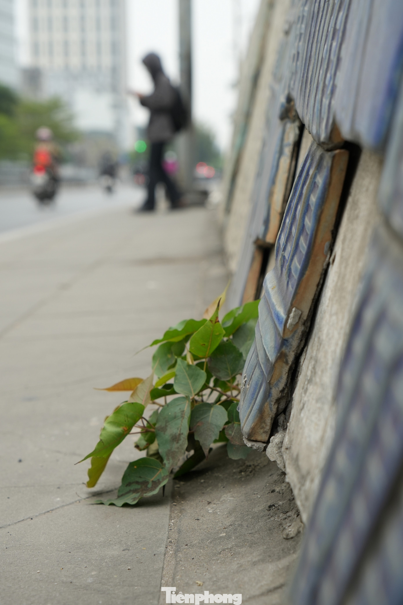 Chị Nguyễn Minh Hà - người dân trên tuyến phố chia sẻ: " Từ 3 - 4 năm nay tôi thấy nơi đây đã có thực trạng hư hại như thế này tồn tại. Cá nhân là người dân tôi chứng kiến một công trình mang lại diện mạo đẹp đẽ cho Thủ đô giờ đây trở thành hình ảnh xấu xí như vậy, thật đáng buồn".