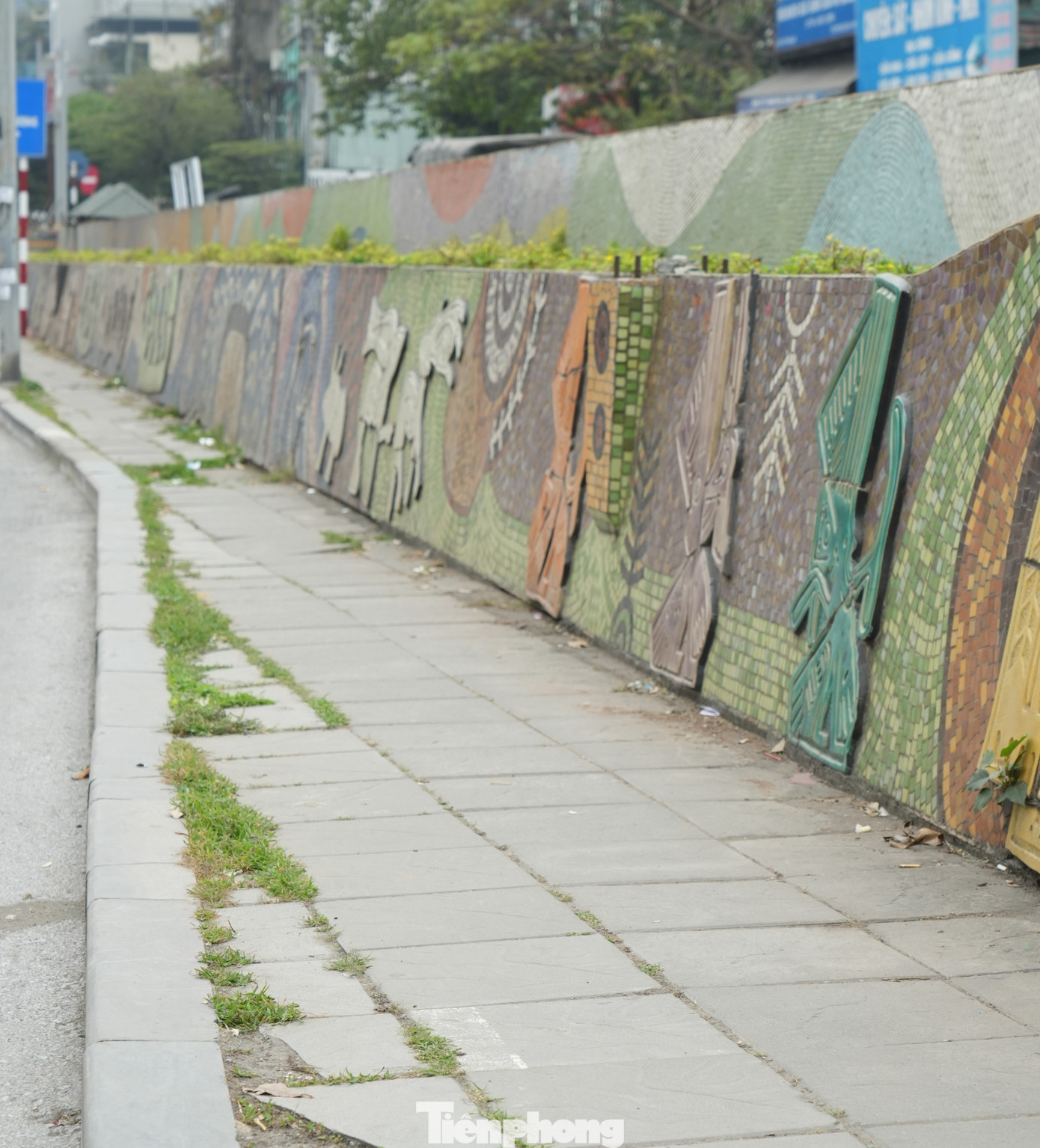 Quang cảnh hoang hóa do cỏ dại mọc lan không được làm vệ sinh.