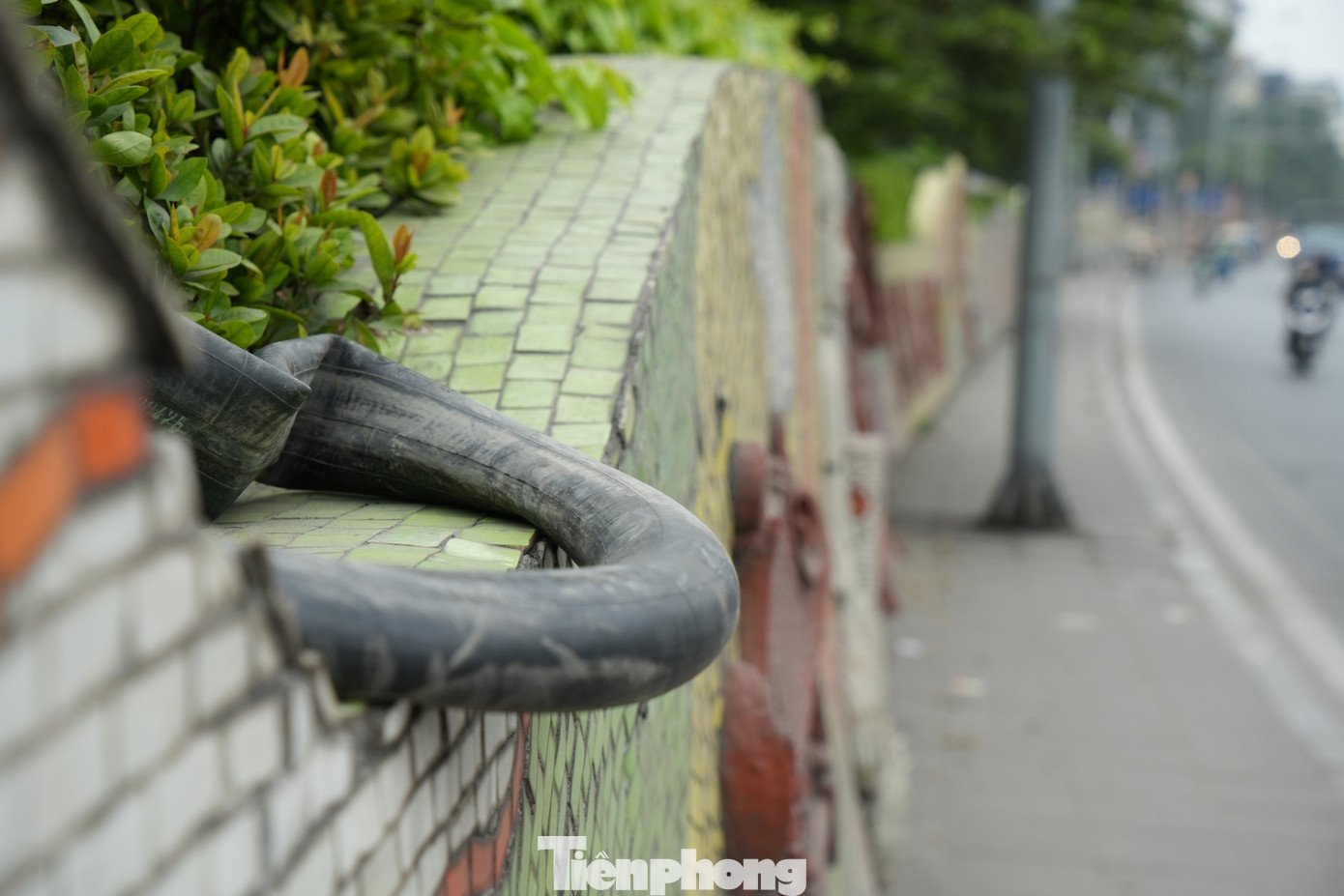 Chiếc ruột lốp xe hỏng vứt chỏng chơ.