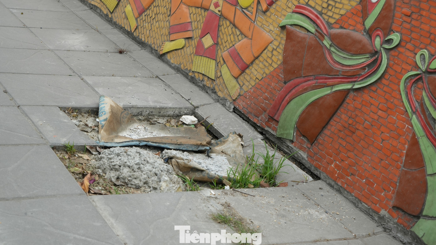 Gạch vỉa hè dưới chân các tác phẩm cũng mất đi từ lâu, cây cỏ dại mọc lên tự nhiên.