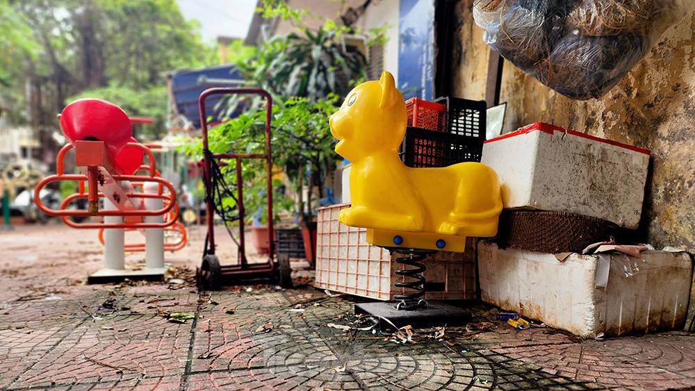 Chú 'thú nhún' này lẫn lộn với các loại hộp thùng chứa rác thải của người dân.