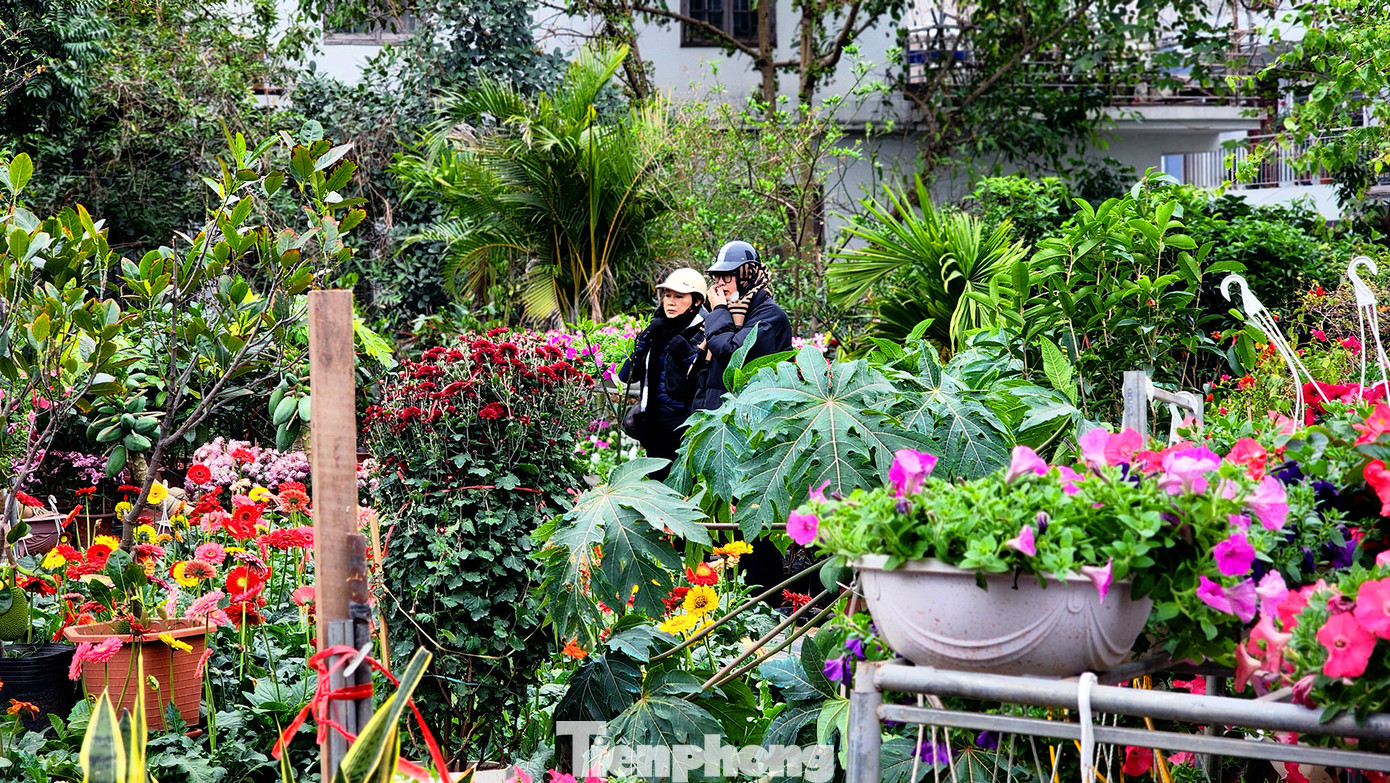 Người dân tha hồ lựa chọn các loại hoa, cây cảnh. Như lạc lối vào một khuôn viên tràn ngập sắc màu.