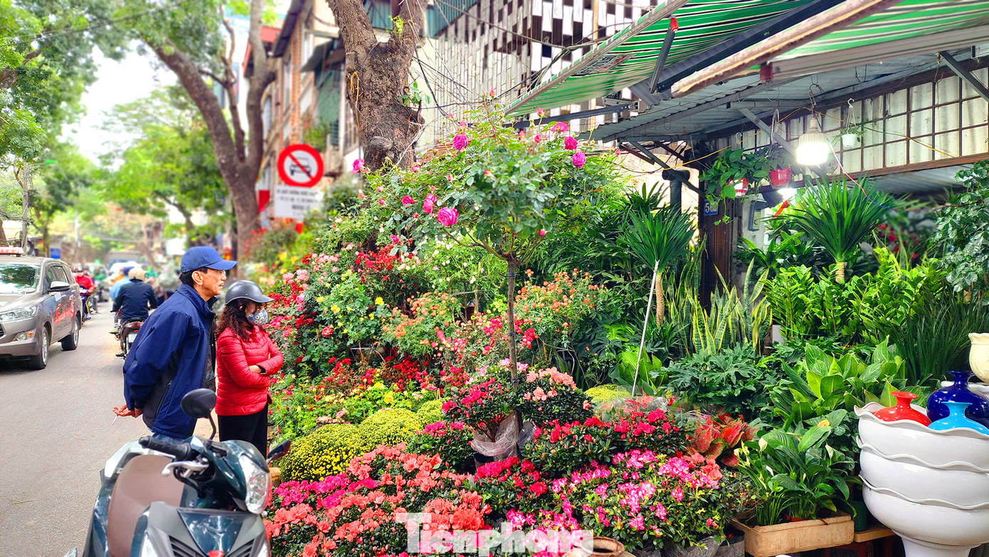 Bên một sạp hoa rực rỡ sắc màu với đa dạng chủng loại hoa