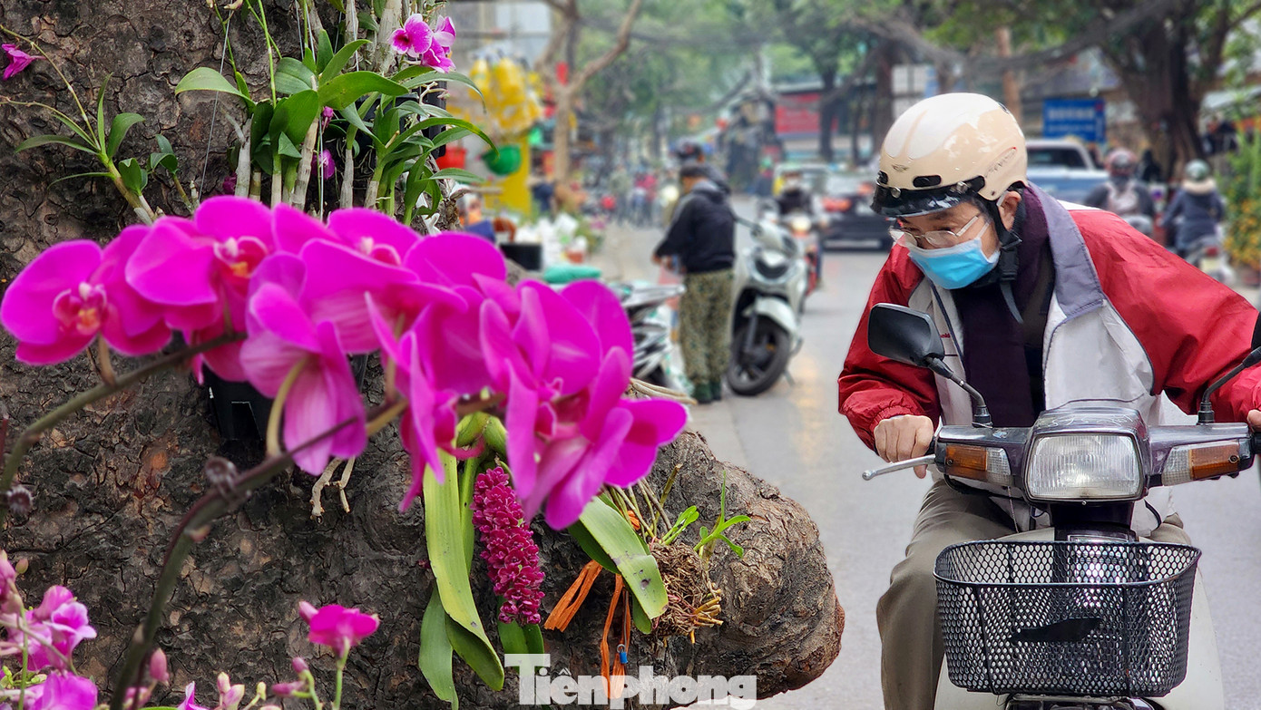 Người dân qua đường bị hấp dẫn bởi sắc hoa trên phố.