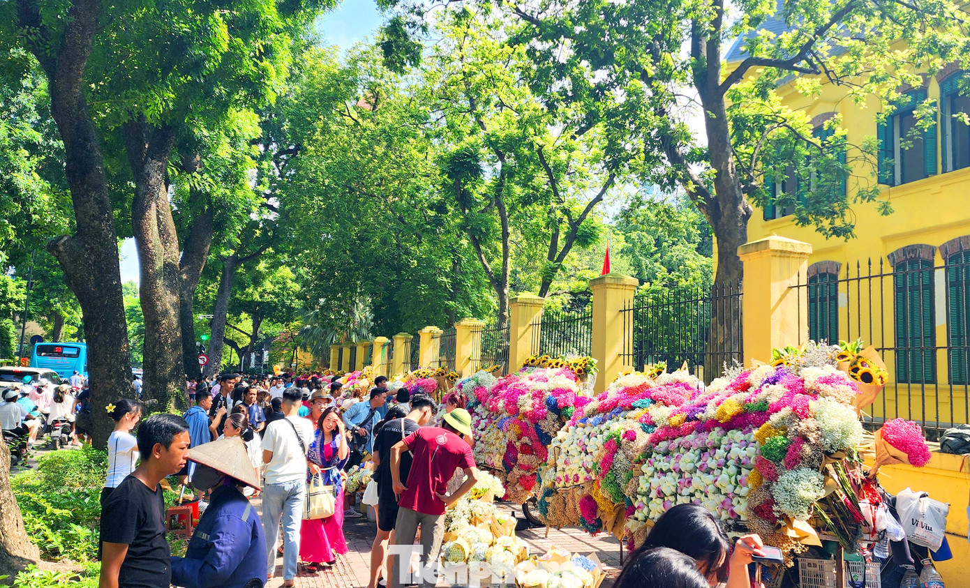 Thời tiết trong ngày chính lễ 2/9 năm nay dự kiến chủ đạo có nắng và tạnh ráo, khu vực 'phố nàng thơ' - Hoàng Diệu - Phan Đình Phùng thu hút đông đảo người dân tới chụp hình.