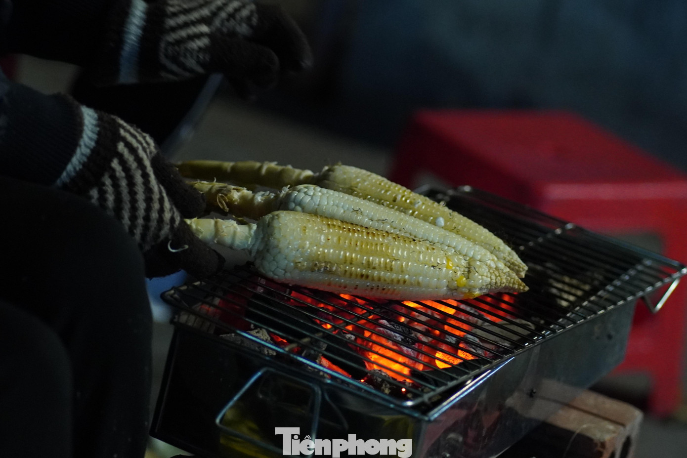Những bắp ngô nướng làm ấm lòng những "thực khách" trong đêm đông.