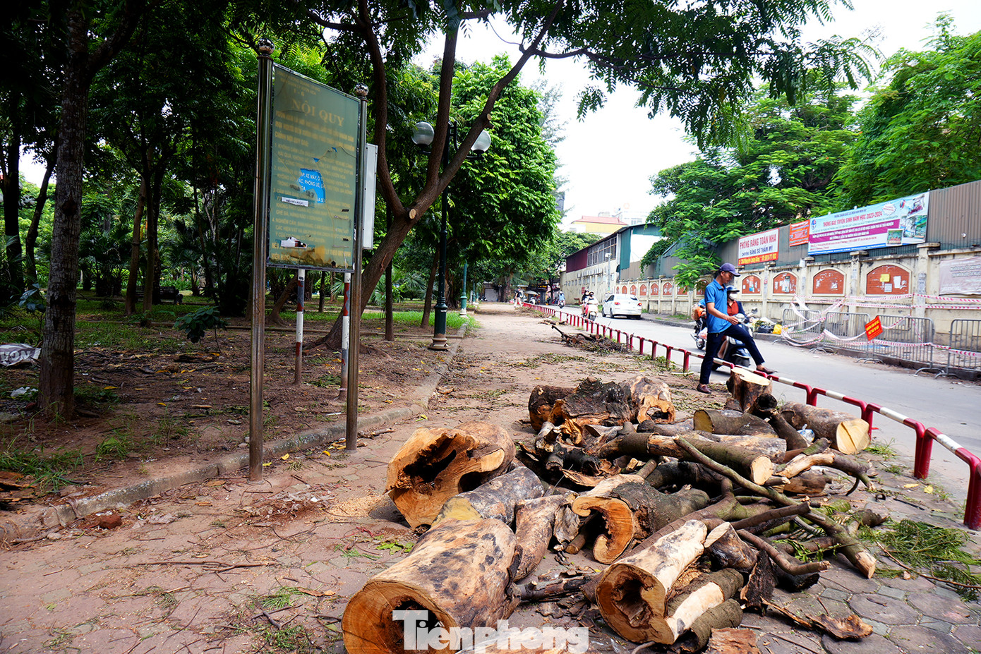Lối đi phủ đầy bùn đất, tập kết hàng đống gỗ mục trong quá trình cắt tỉa chưa được di dời. Người dân đi bộ đến đây vì an toàn cũng đành phải leo qua rào, xuống lòng đường đi tiếp. Theo bà T.T.T.X người dân ngõ 178 phố Nguyễn Lương Bằng cho biết: "Các công nhân cắt tỉa cành mọc um, đốn hạ cây mục là hoạt động rất tốt. Tuy nhiên, sau khi chặt hạ lại tập kết ngay mặt lối đi, đã mấy ngày chưa chuyển đi". Lối đi phủ đầy bùn đất, tập kết hàng đống gỗ mục trong quá trình cắt tỉa chưa được di dời. Người dân đi bộ đến đây vì an toàn cũng đành phải leo qua rào, xuống lòng đường đi tiếp. Theo bà T.T.T.X người dân ngõ 178 phố Nguyễn Lương Bằng cho biết: "Các công nhân cắt tỉa cành mọc um, đốn hạ cây mục là hoạt động rất tốt. Tuy nhiên, sau khi chặt hạ lại tập kết ngay mặt lối đi, đã mấy ngày chưa chuyển đi".