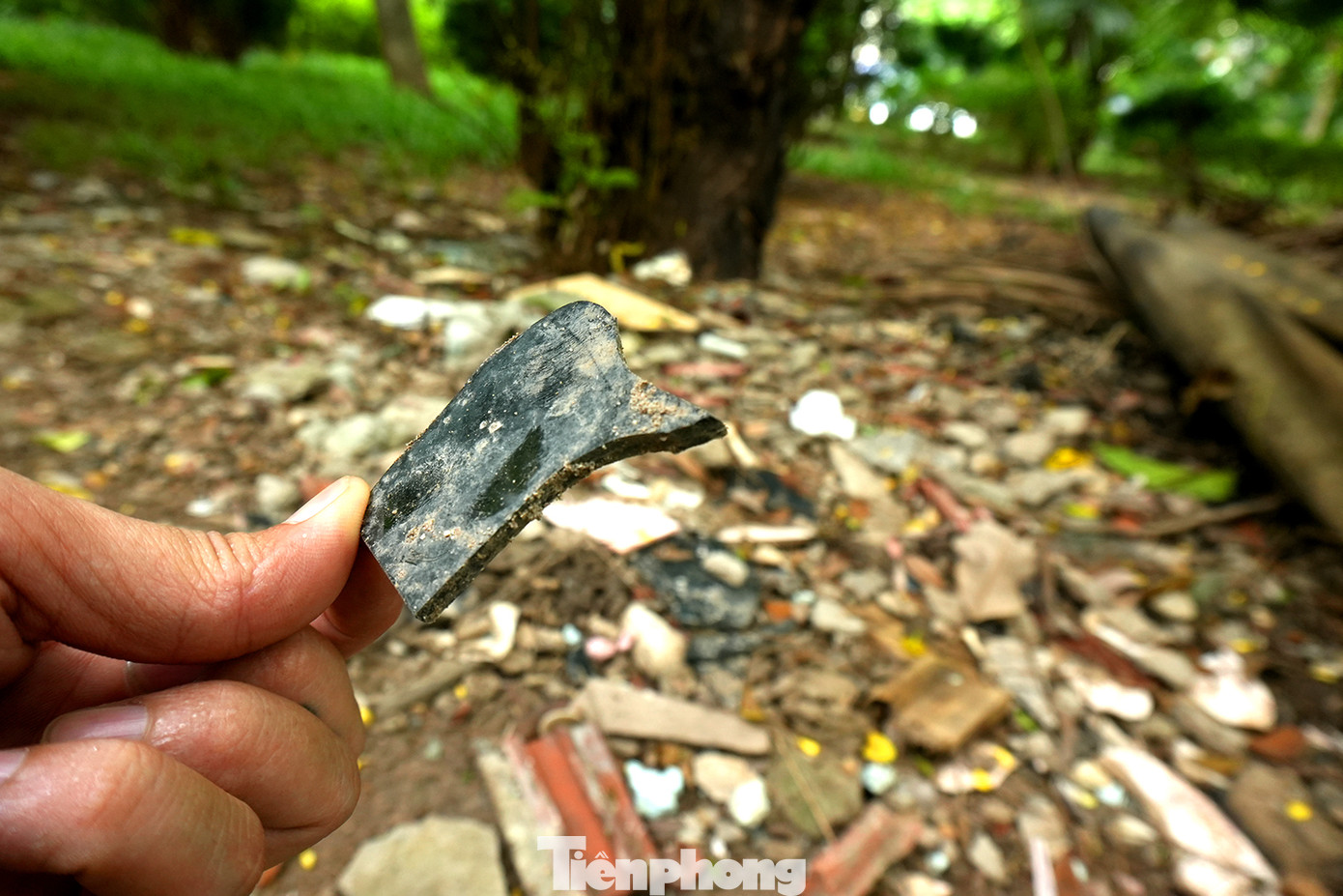 Có thể bắt gặp rất nhiều đống rác tại phía sâu trong khuôn viên vườn hoa. Lẫn trong những đống rác này là vô số các mảnh thủy tinh dày và sắc, tiềm ẩn nguy hiểm với người đi bộ. Người dân cũng vô tư chất ghế, đốt củi... hay phơi chiếu trong khuôn viên vườn hoa. Có thể bắt gặp rất nhiều đống rác tại phía sâu trong khuôn viên vườn hoa. Lẫn trong những đống rác này là vô số các mảnh thủy tinh dày và sắc, tiềm ẩn nguy hiểm với người đi bộ. Người dân cũng vô tư chất ghế, đốt củi... hay phơi chiếu trong khuôn viên vườn hoa.