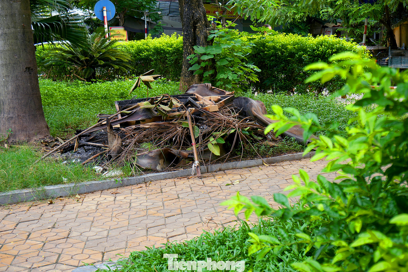 Có thể bắt gặp rất nhiều đống rác tại phía sâu trong khuôn viên vườn hoa. Lẫn trong những đống rác này là vô số các mảnh thủy tinh dày và sắc, tiềm ẩn nguy hiểm với người đi bộ. Người dân cũng vô tư chất ghế, đốt củi... hay phơi chiếu trong khuôn viên vườn hoa. Có thể bắt gặp rất nhiều đống rác tại phía sâu trong khuôn viên vườn hoa. Lẫn trong những đống rác này là vô số các mảnh thủy tinh dày và sắc, tiềm ẩn nguy hiểm với người đi bộ. Người dân cũng vô tư chất ghế, đốt củi... hay phơi chiếu trong khuôn viên vườn hoa.