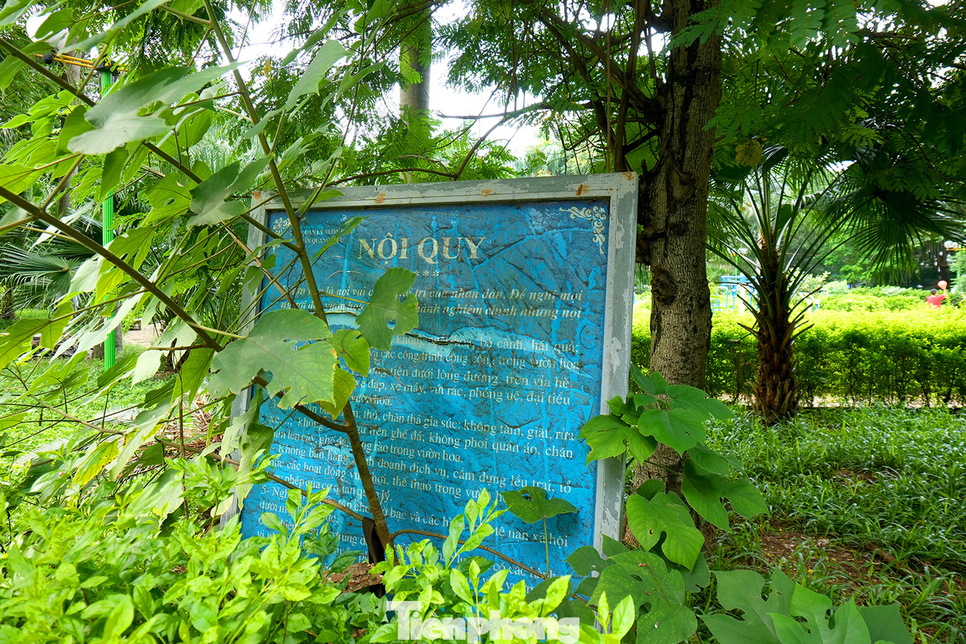 Tại một góc vườn hoa là tấm biển nội quy rách nát xuống cấp chưa được thay thế, đối diện ngay trước tấm biển này là một đống phế thải từ cửa hàng cắt tóc bên đường. Tại một góc vườn hoa là tấm biển nội quy rách nát xuống cấp chưa được thay thế, đối diện ngay trước tấm biển này là một đống phế thải từ cửa hàng cắt tóc bên đường.