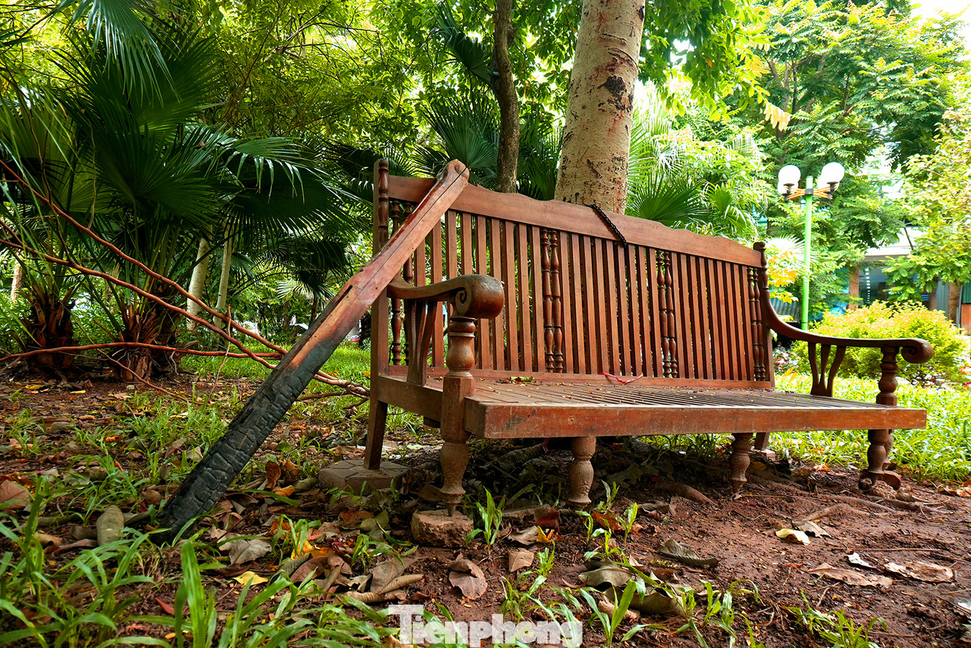 Có thể bắt gặp rất nhiều đống rác tại phía sâu trong khuôn viên vườn hoa. Lẫn trong những đống rác này là vô số các mảnh thủy tinh dày và sắc, tiềm ẩn nguy hiểm với người đi bộ. Người dân cũng vô tư chất ghế, đốt củi... hay phơi chiếu trong khuôn viên vườn hoa. Có thể bắt gặp rất nhiều đống rác tại phía sâu trong khuôn viên vườn hoa. Lẫn trong những đống rác này là vô số các mảnh thủy tinh dày và sắc, tiềm ẩn nguy hiểm với người đi bộ. Người dân cũng vô tư chất ghế, đốt củi... hay phơi chiếu trong khuôn viên vườn hoa.