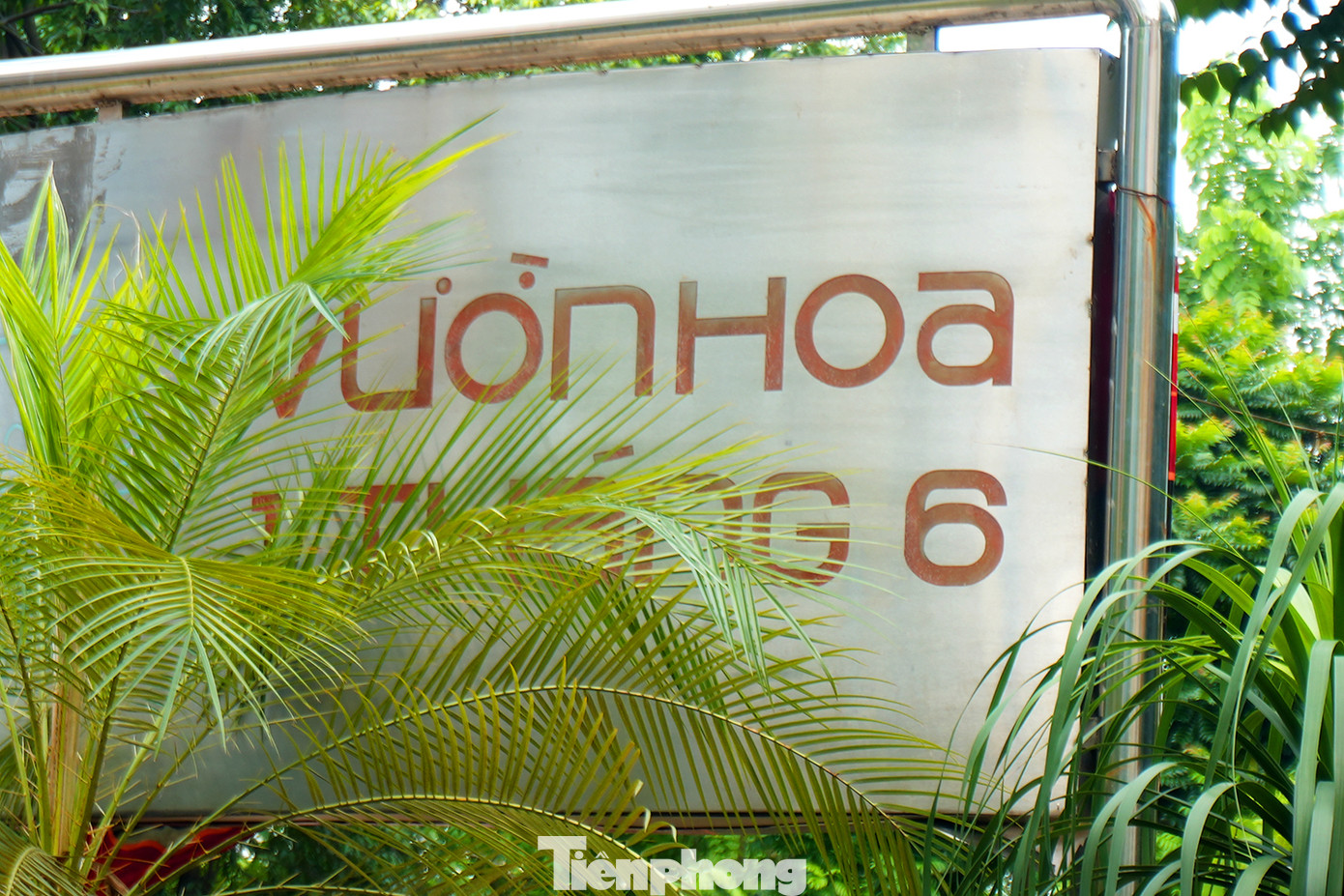 Khu vực Vườn hoa 1 tháng 6 ( ngõ 178 phố Nguyễn Lương Bằng - Đống Đa) đang trong quá trình cắt tỉa cây xanh tán rợp. Tuy nhiên ngay khu vực trung tâm vườn hoa cỏ dại mọc lan, cây rợp che cả biển tên. Khu vực Vườn hoa 1 tháng 6 ( ngõ 178 phố Nguyễn Lương Bằng - Đống Đa) đang trong quá trình cắt tỉa cây xanh tán rợp. Tuy nhiên ngay khu vực trung tâm vườn hoa cỏ dại mọc lan, cây rợp che cả biển tên.